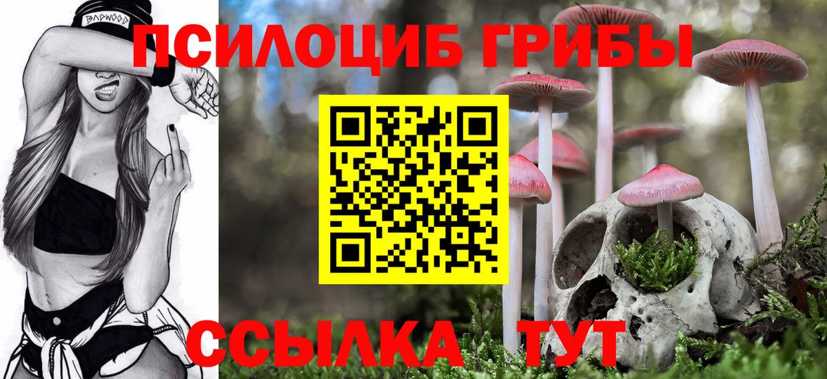 Галлюциногенные грибы мицелий  Вход с VPN  Дубна 